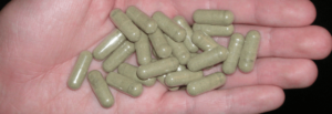 kratom everything to know guide
