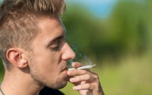 marijuana effects on the body