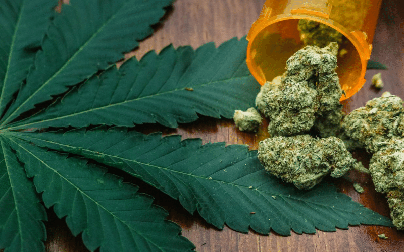 marijuana to fight opioid epidemic